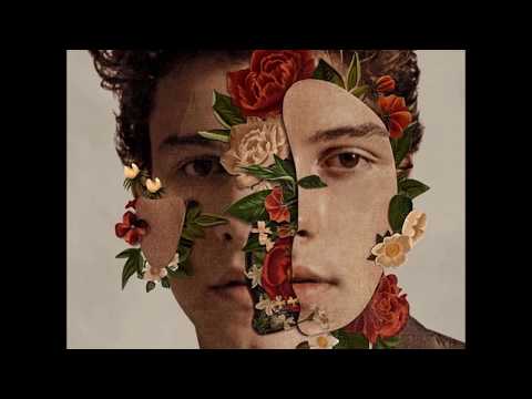 Shawn Mendes - Nervous