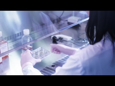 Video: Mis on indutseeritud pluripotentsed tüvirakud?