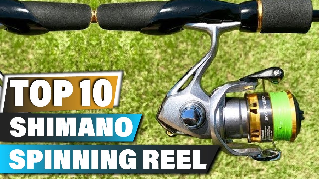 Best Shimano Spinning Reels In 2023 - Top 10 Shimano Spinning Reel