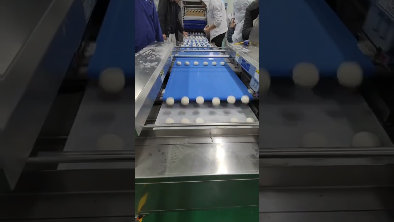 Automatic dough divider and rounder machine 