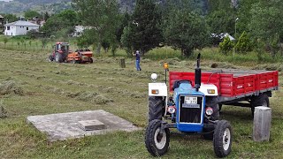 The Next Job is Rake the Meadow and Bale it! | Ford 3000 & Hattat 285