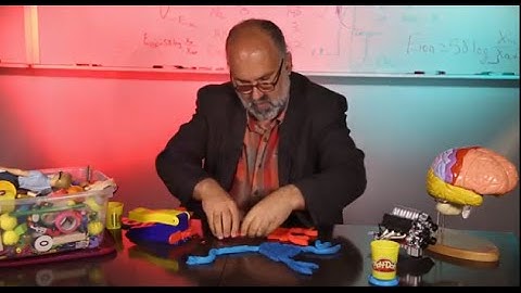 Regenerating Neurons | Science: Out of the Box