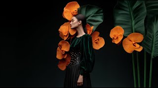 Descoperă Magia Emoțiilor de Noiembrie