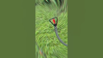 Béc tưới phun mưa hình trái tim tưới cây