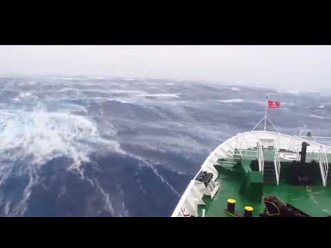 Video: Mares Del Océano Ártico: Lista