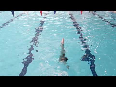 Hanging vertical | Artistic Swimming Figures