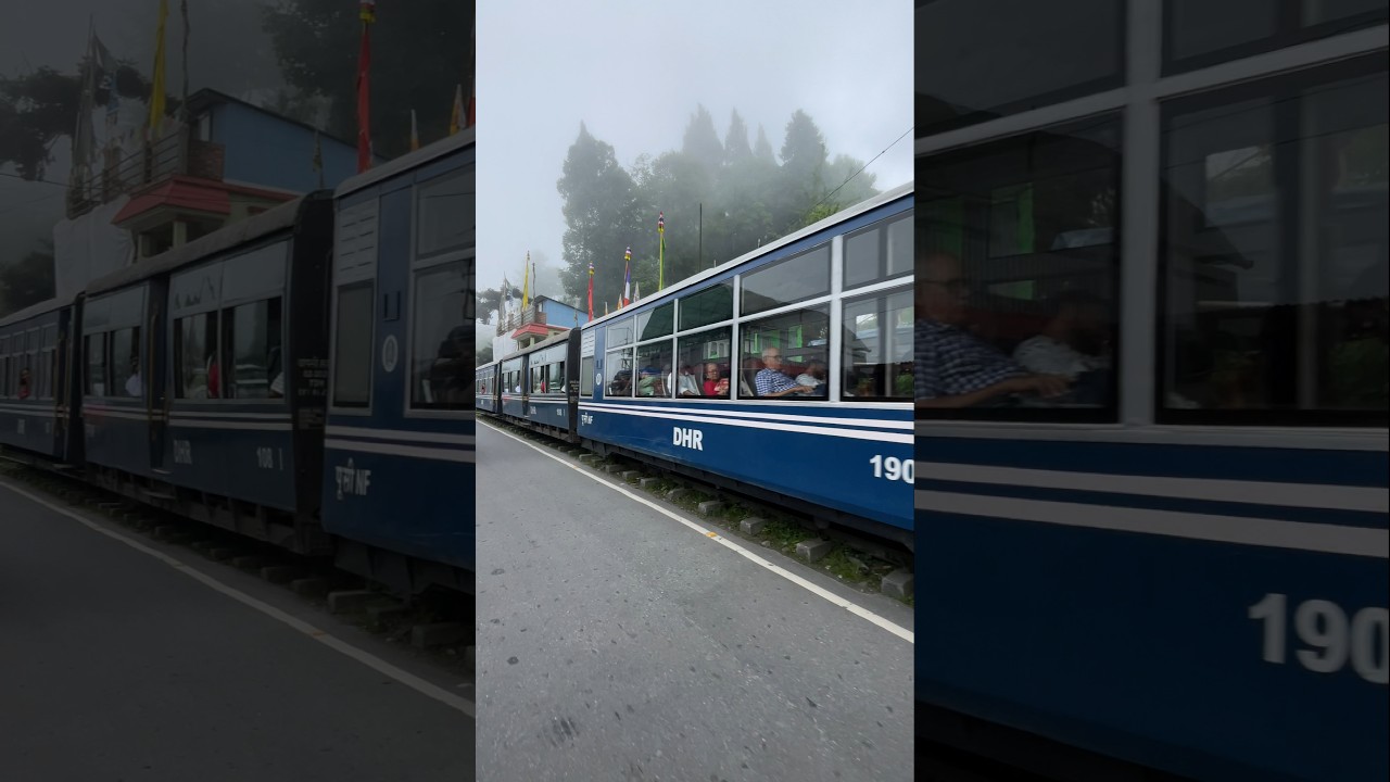 Darjeeling | Toy train 🚂🚃🚂 