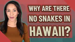 Why are there no snakes in Hawaii