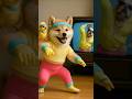 에어로빅 강아지의 폭발 직전…🐶💢 | Funny Shiba Inu Aerobics with Chick #시바견 #pets #귀여운강아지 #shibainu #강아지영상