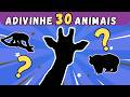 Adivinhe o Animal! 🦁 Desafie Seus Conhecimentos e Teste Sua Percepção!