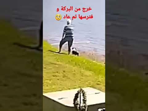 تمساح يفترس سيدة عجوز مسكينا المغرب الجزائر العراق مصر السعودية الكويت الامارات قطر عمان