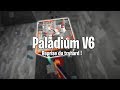 PILLAGE/MINAGE SUR PALADIUM ! (Enfin selon ce qui est ouvert...) - Live Paladium V6