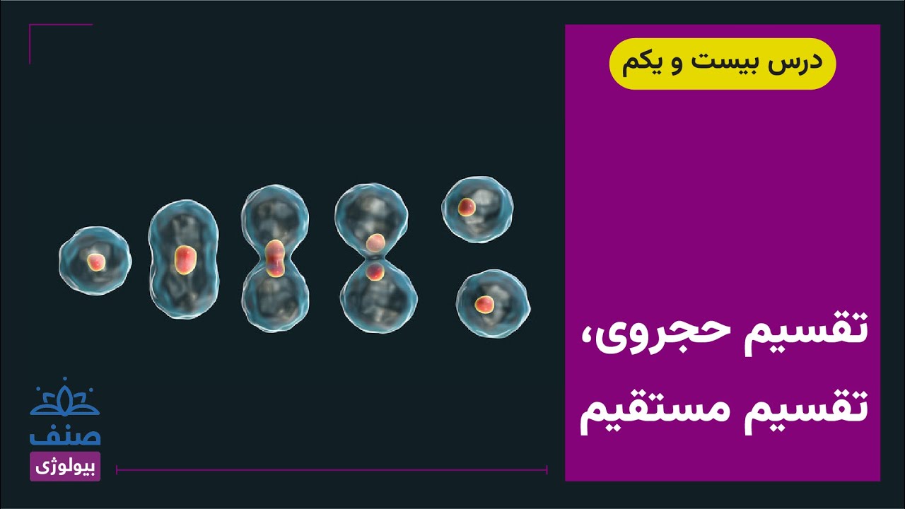 صنف - بیولوژی صنف یازدهم - درس 21: تقسیم حجروی؛ تقسیم مستقیم