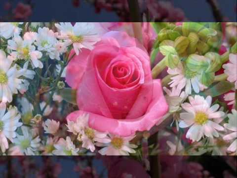 Video: Rrëshirë E Mbushur Me Lule