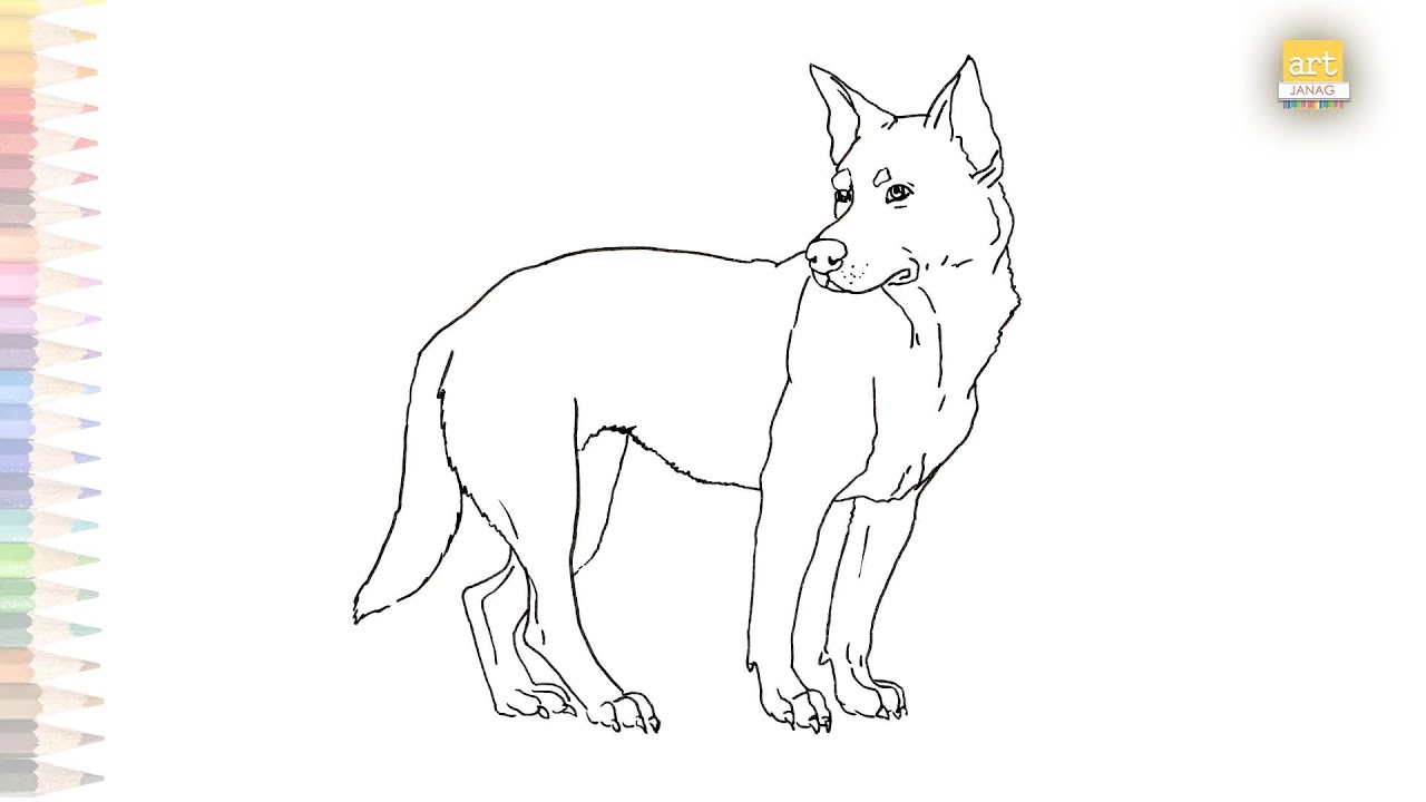 Australian Cattle Dog drawing 2 | How to draw Australian Cattle Dog ...