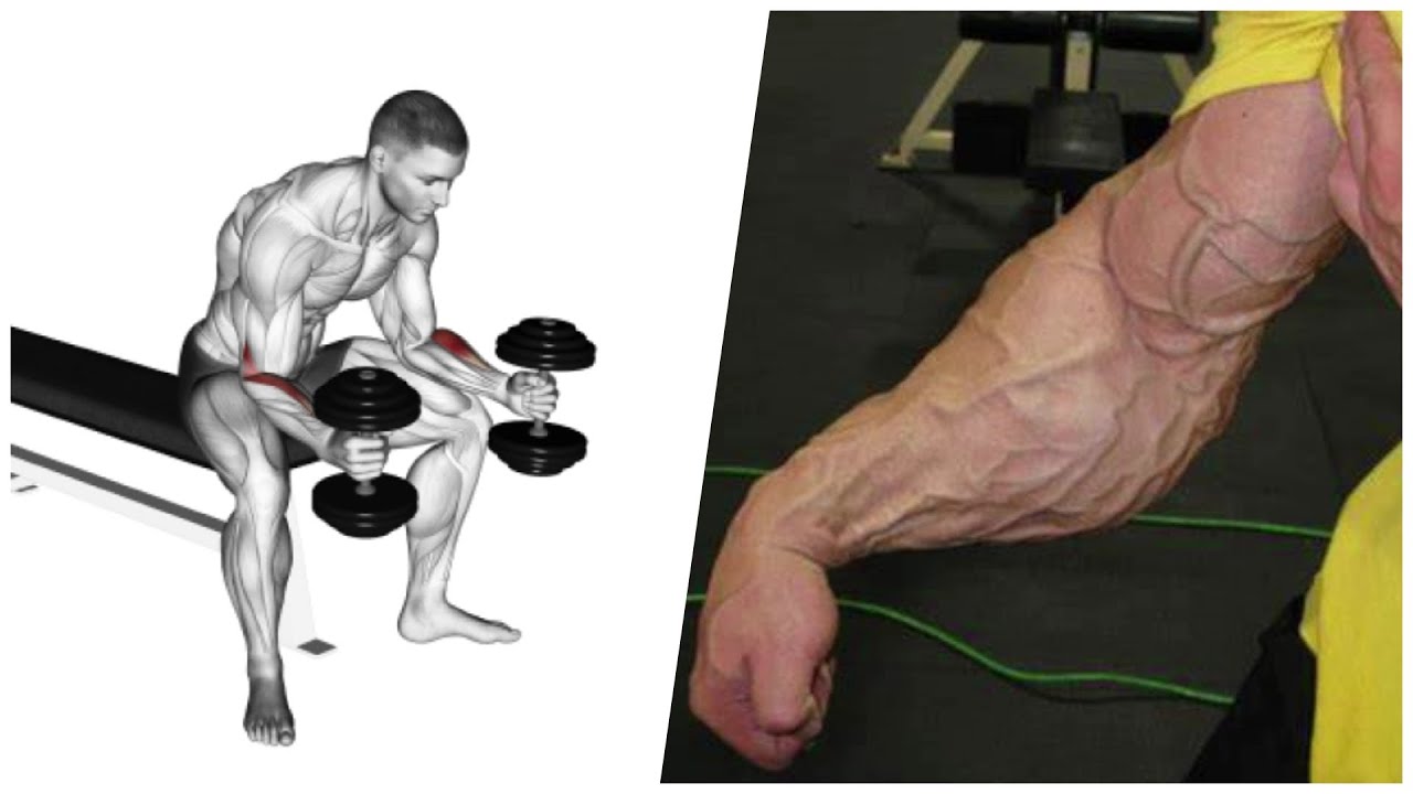 Handgrip Pour Avant-bras – Résistance 60 Kg, Noir, Fitness