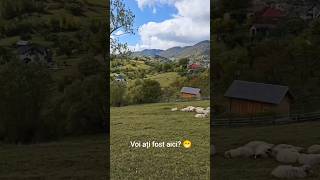 Peisajele României ne lasă mereu fără cuvinte😁🇷🇴 #romaniafrumoasa #romania #brasov #subscribe