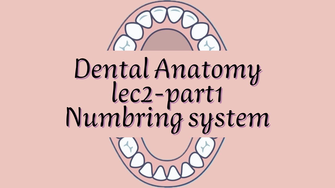 Lec2 part1 numbring system universal notation system youtube