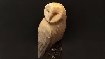 Whittle an Owl | Step-By-Step Beginner Tutorial