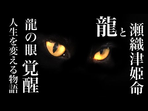 【朗読】⚠️この動画は金運龍の念を込めて創作しています。龍神最高神『瀬織津姫』封印された龍神崇高神の生誕地「瀧川神社神話」十五物語【十五話全編総集編】