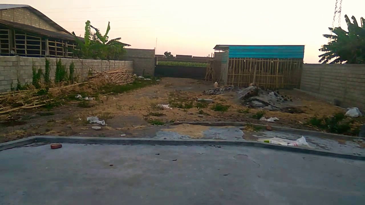 Kandang Ayam Joper Baru 2018