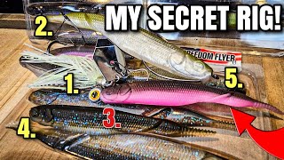 5 Rigs From 1 Lure... Nobody Is Using Number 3