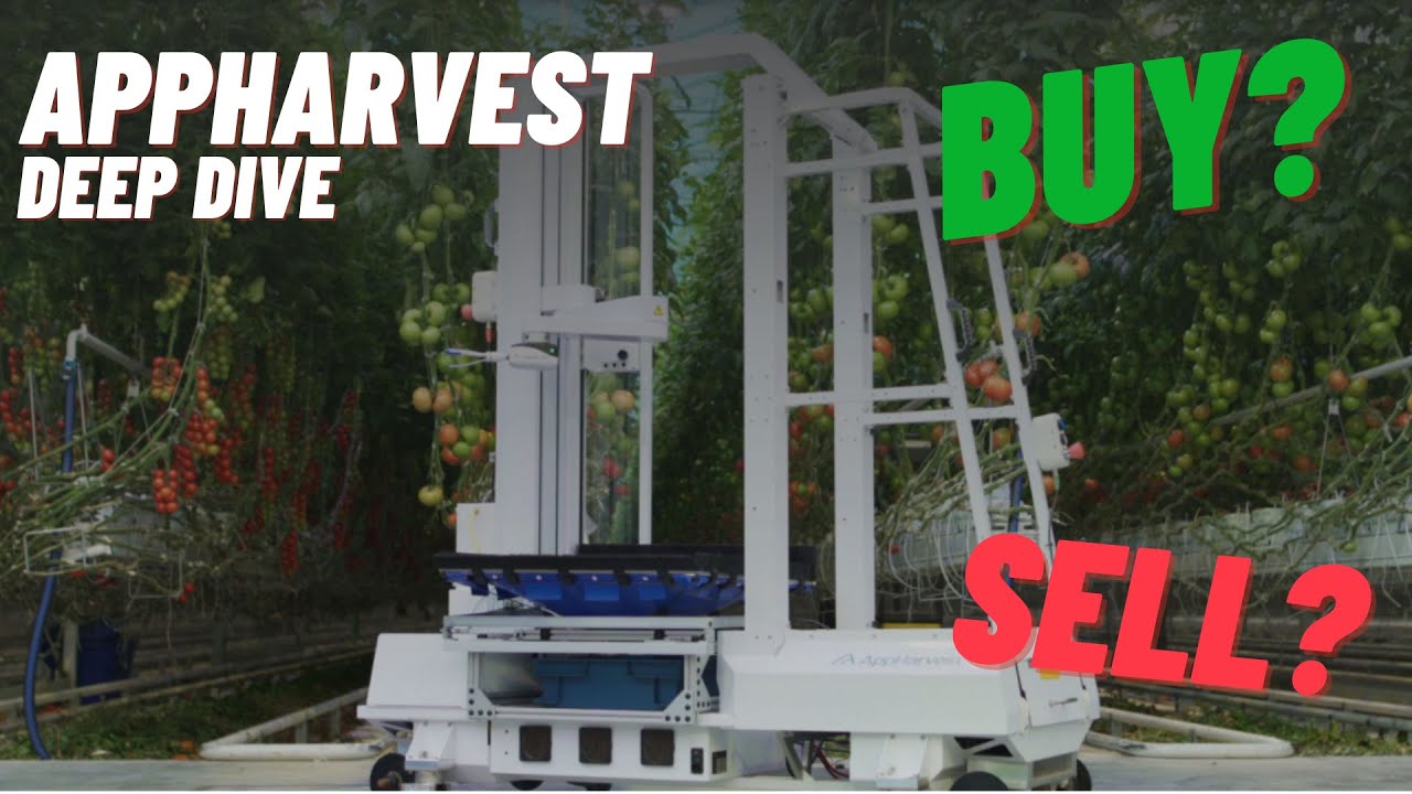 AppHarvest Stock BUY or SELL? (APPH) Analysis YouTube