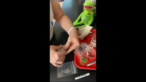 Salinization Lab Setup