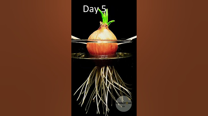 Growing green onion underwater! #timelapse #onion #plants #shorts