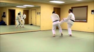 Block Backfist, Reverse Punch Counter, Block Second Strike