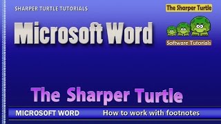 Microsoft Word - How to work with footnotes