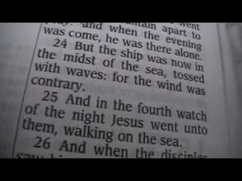 Matthew 14 Holy Bible (King James)