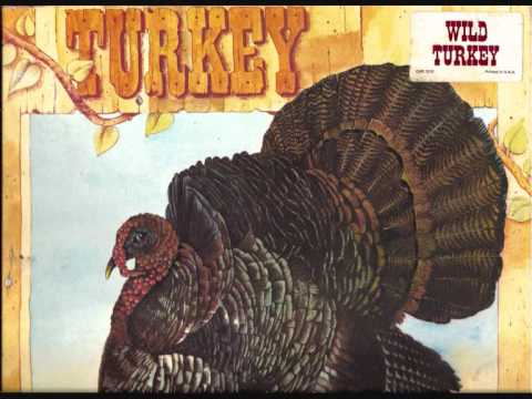 wild turkey - good old days