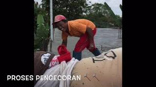 pioner beton rumah pak bamabang