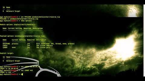Exploit/multi/handler on metasploit
