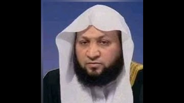 سورة الماعون (ياسر سلامه)