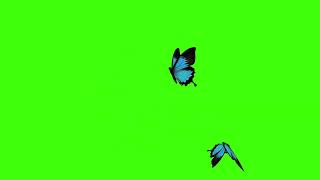 Футаж-Бабочки на хромакее2 (Для свободного пользования)