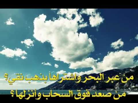      قسمة الحكمة للقديس أبيفانيوس