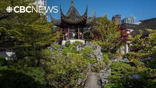 Vancouver s Dr Sun Yat-Sen Classical Chinese Garden celebrates 40th anniversary