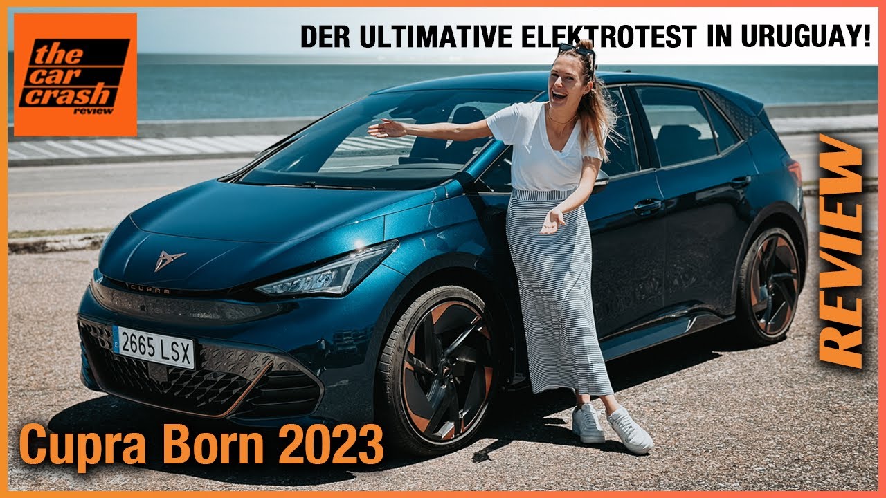 SXCY für Cupra Born 2022 2023 Sonnenbrille Brillenetui, Auto