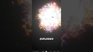 Pigeon vs 26 Suns