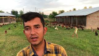 Angels Free range farm is a nepals first chicken free range farm.It is located at Lamahi municipality 08 Dang Nepal.