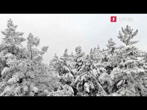 ამინდი საქართველოში