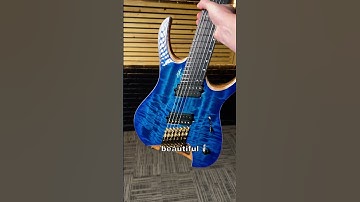 One of the coolest 7 strings out there... from a brand you probably never heard of 🎸