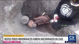 Descubren restos óseos prehispánicos en la Región del Ñuble