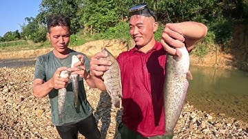 #700. Ra suối là có cá nướng, phiêu lưu trong rừng