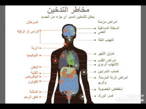 مشاركات الطالبت في تفعيل اسبوع التوعية باضرار التدخين والمخدرات