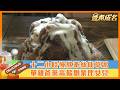 【#壹煮成名】十二小時慢熬牽絲#仙草 冰 單親爸棄高薪#創業 伴女兒