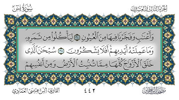 سورة يس القارئ أنس العمادي