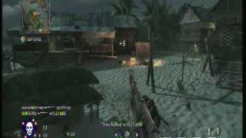 SiiK SiiNz - CoD5 Beta Sniper Montage